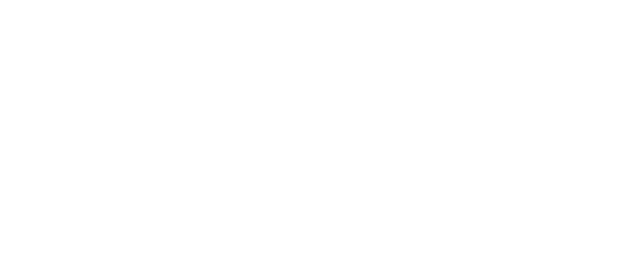 logo-level-pro-1